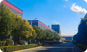 山東棗莊 10萬噸草酸項(xiàng)目